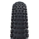 Schwalbe Wicked Will Performance Folding
